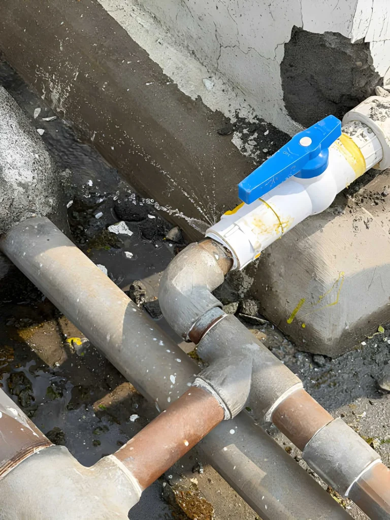 Water Line Leak